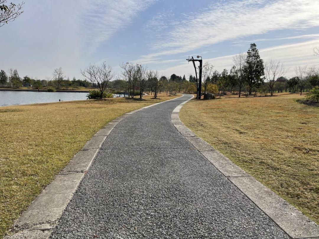 景观草坪如何搭配,庭院景观草坪种类