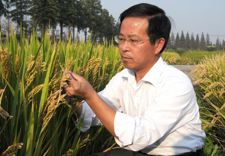 从吃饱到吃好,从吃饱到吃好再到吃出健康