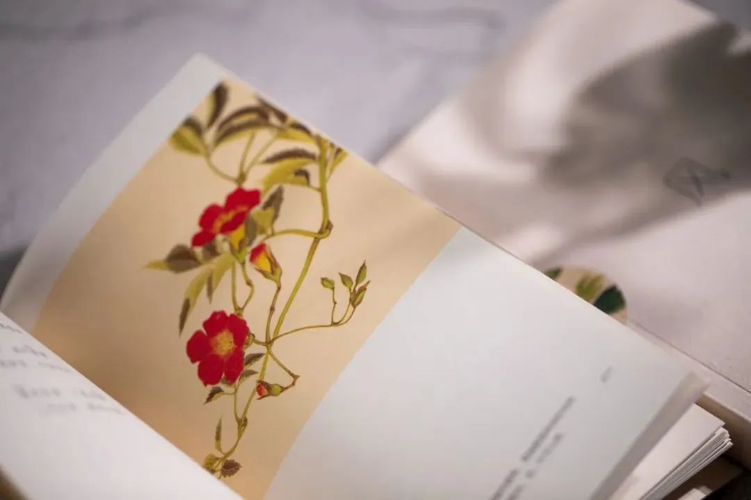 春分主要阳气少阴气多,春分以后阳气上升是养阳还是增阴