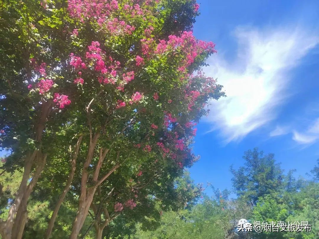 【玩转烟台】秋高气爽的日子里，来南山公园享受一段秋日慢时光