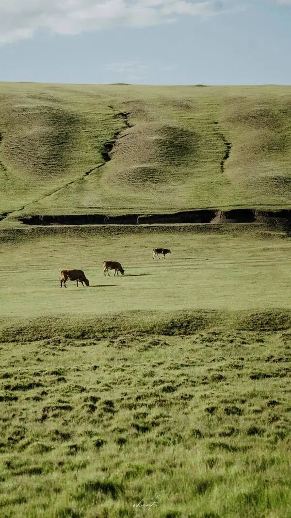 100张全屏绿色山水护眼壁纸,2021超清绿色护眼壁纸风景