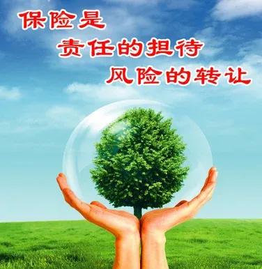 关于保险的知识,关于保险的最新新闻