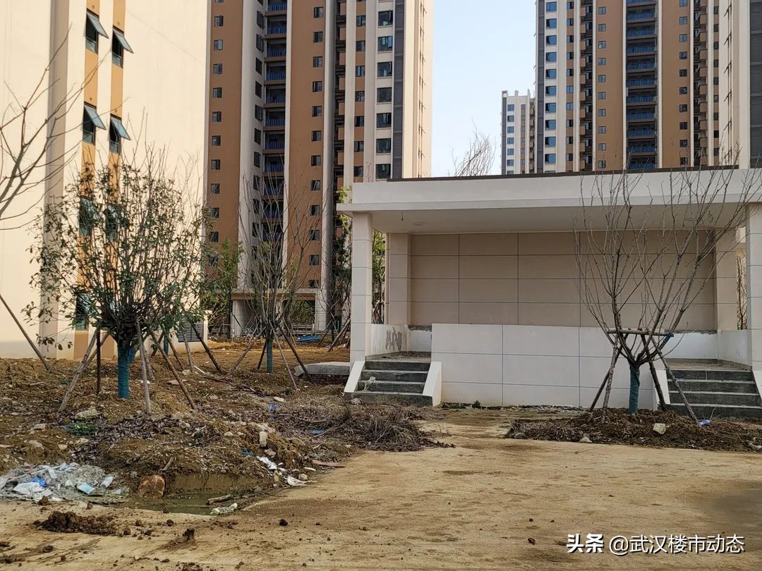 以前吹嘘的网红楼盘,网红楼盘出尽了风头