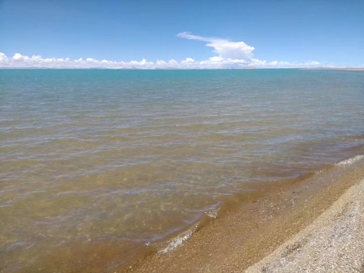 揭阳万达广场入驻餐饮商家名单,揭阳万达广场入驻品牌