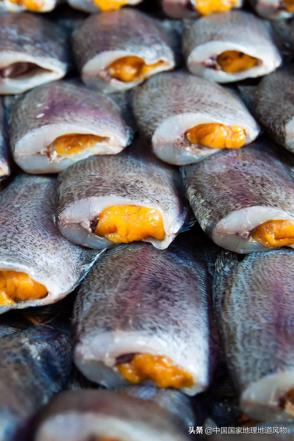 咸鱼最火地图,闲鱼攻略图