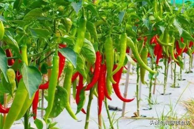 辣椒面比辣椒都便宜你敢吃吗,辣椒面为什么比辣椒便宜