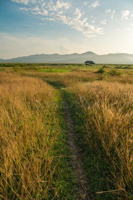 老公一直和前妻联系我该怎么办啊,老公一直跟他前妻有联系