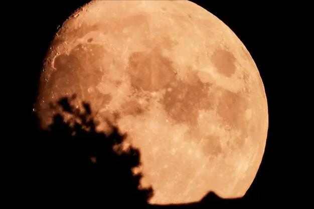 我国科学家为您解密月球神秘事件,霍金谈月球事件