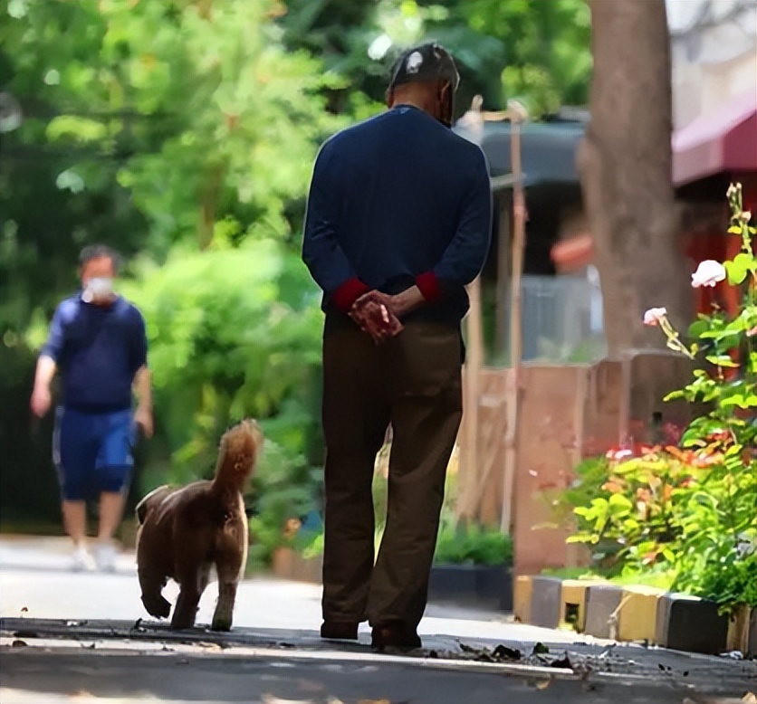 83岁老人肝癌晚期治疗,67岁大妈肝癌晚期不治疗
