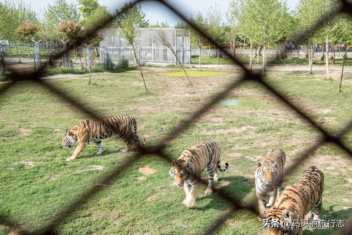 宿州到底有多好耍的地方,宿州有哪里值得去的地方