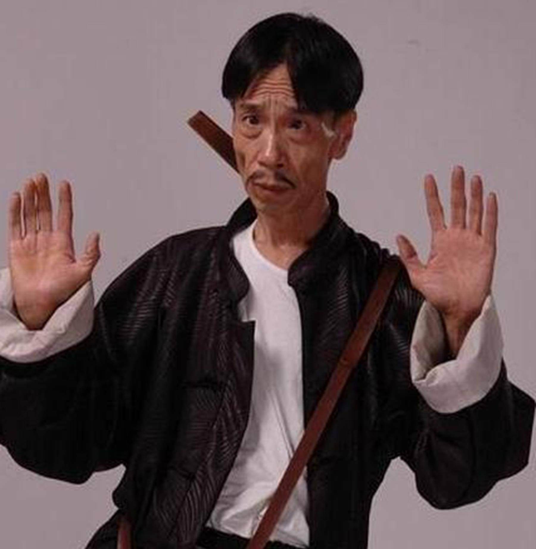 养敌为患电视剧完整版,养虎为患反被噬