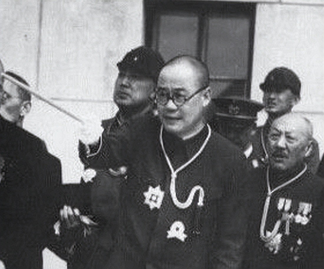 1950年大汉奸回国，才知亲生儿子是红色特工，感叹：你骗得我好苦