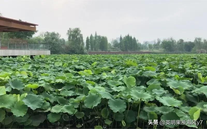 遂宁风景太美了,遂宁真的很美