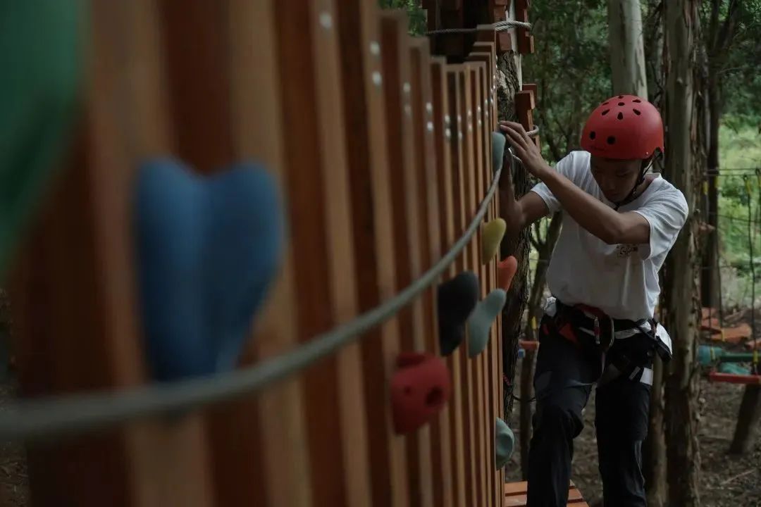 踏青露营地推荐,空港花田古朴森林露营地
