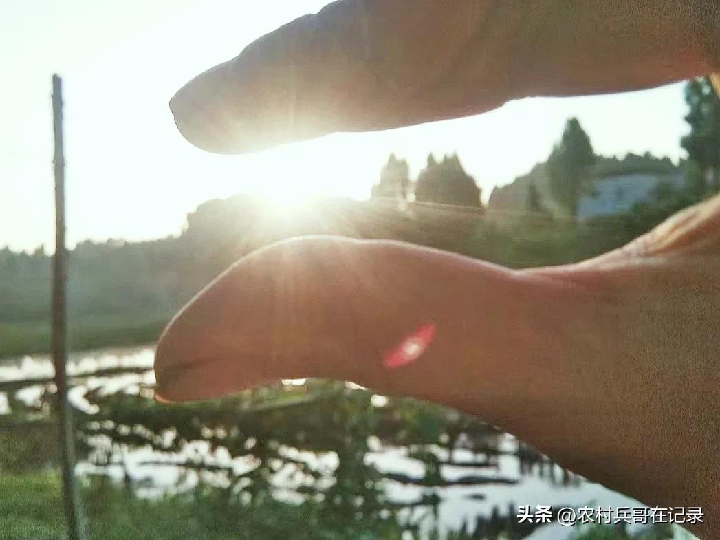 龚大,退休的年纪,找陈哥帮忙,说话却不经考量,但李哥可不由着他！