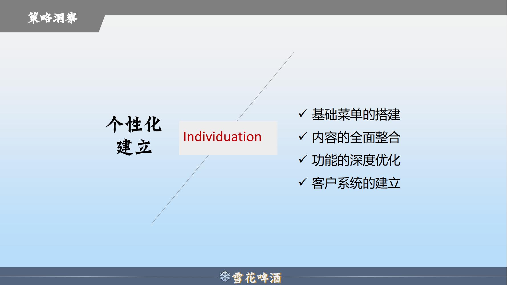 雪花啤酒品牌策划方案范文ppt,品牌啤酒的营销策划书