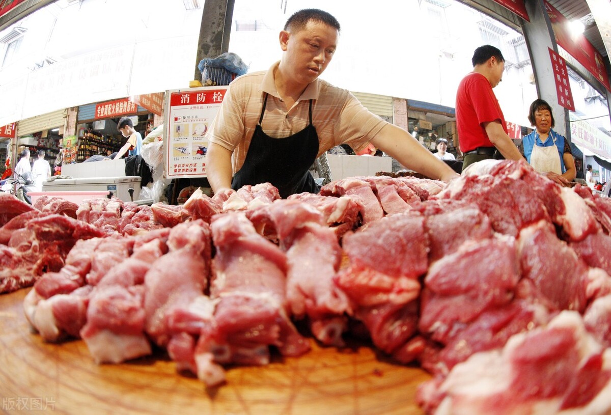 生猪价格明日猪价最新,猪价是涨还是跌明天生猪价格表