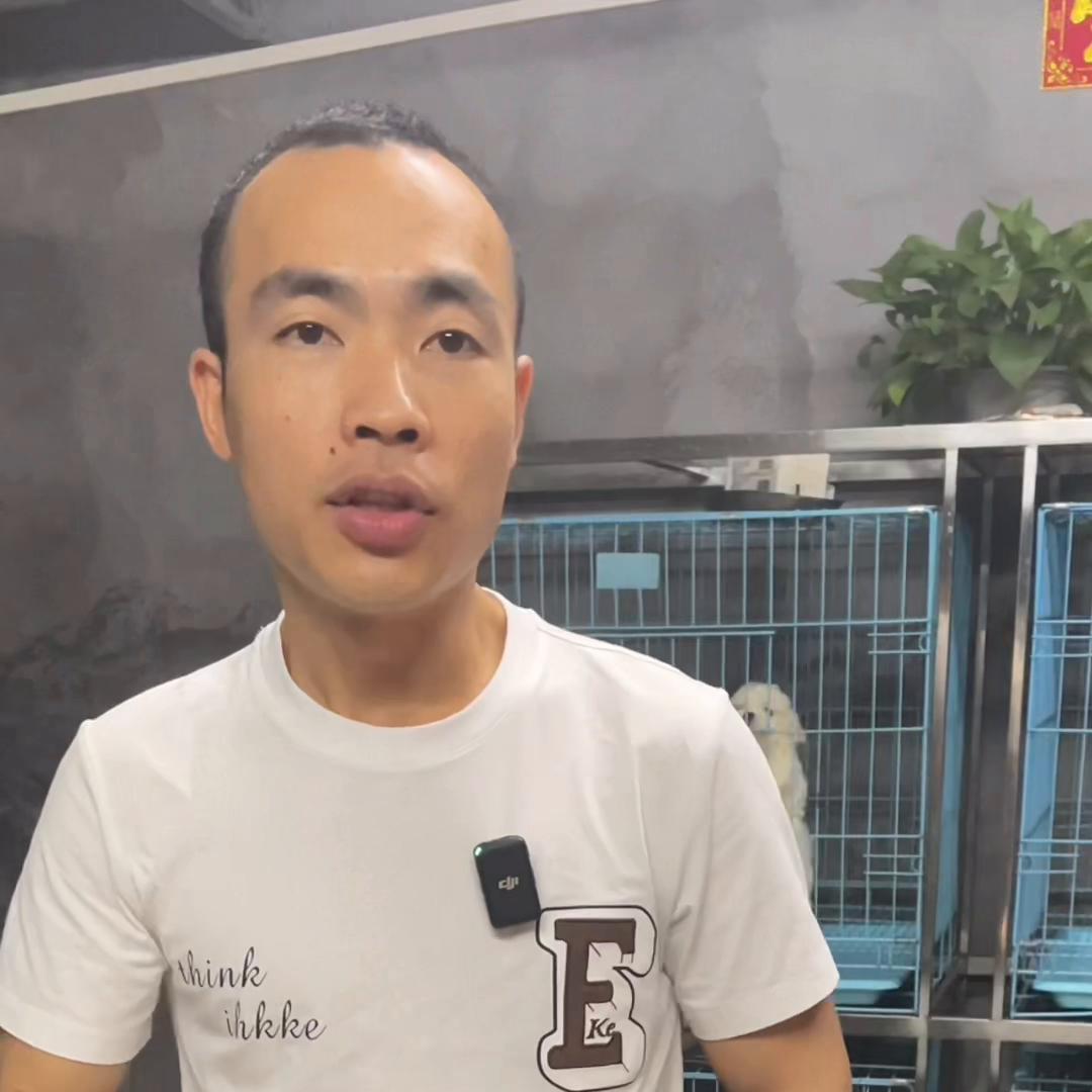 网上买狗被骗就没办法了吗,在网上买狗怎样才不会被骗