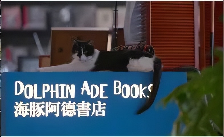 大理游玩攻略3天2晚,大理环海一日游攻略12点出发