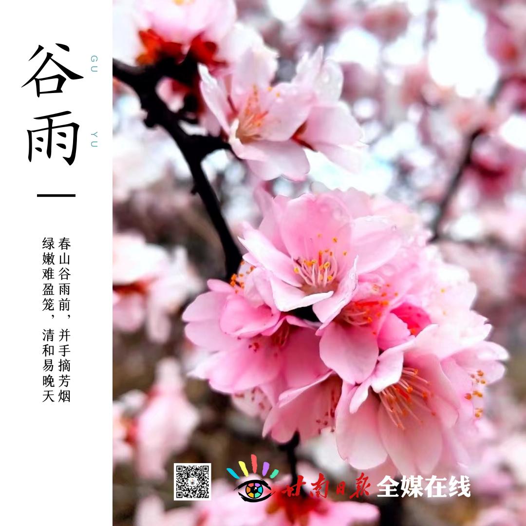 今日谷雨赋诗一首,今日谷雨时刻