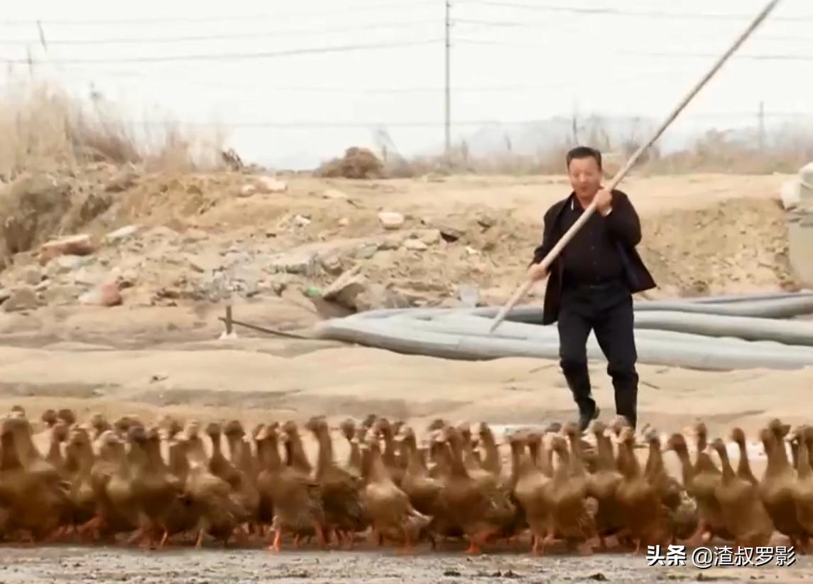 男子50元买海鲜发现是海洋活化石,一男子花10万买海参后续