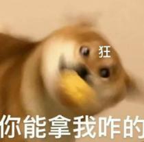 游戏优越狗 (游戏中的优越狗)