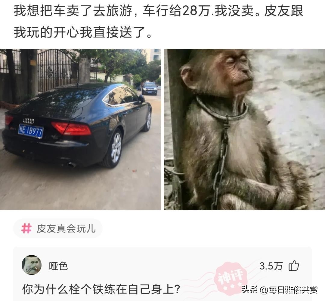 【盐选神回复】爱了爱了