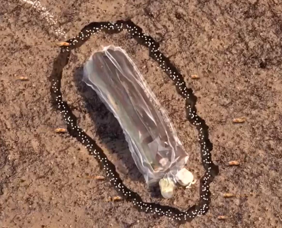 2004年湖南千万富翁突然转行，躲进深山挖丑疙瘩，2021年年入上亿