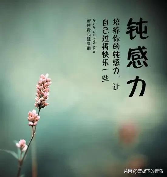 大智若愚大巧若拙是哪个学派的,大智若愚大巧若拙出自哪里