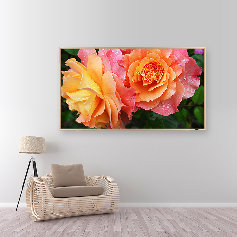 电视怎么外接音箱输出,电视机外接什么音箱性价比高