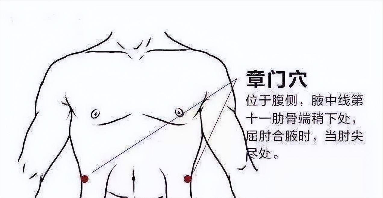 玫子科普：十二经脉，足厥阴肝经——血液中的清道夫