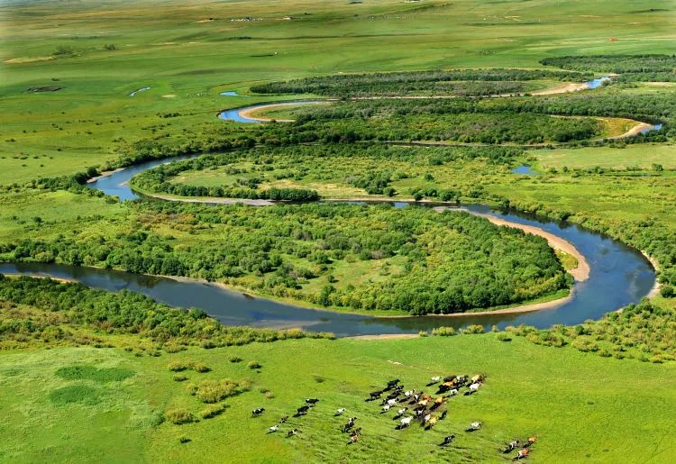 非凡十年乡村振兴,鄂温克旗三年规划