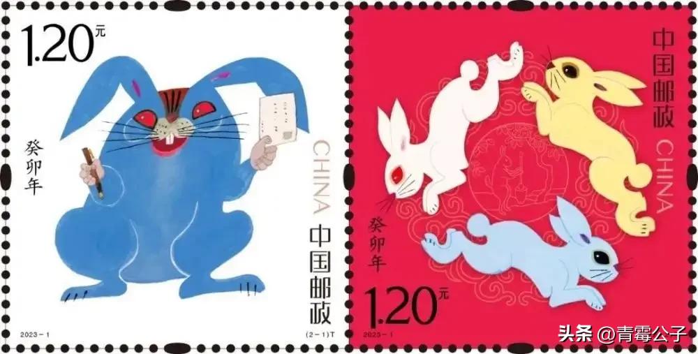 一只蓝色兔子是什么品种,一只蓝兔子