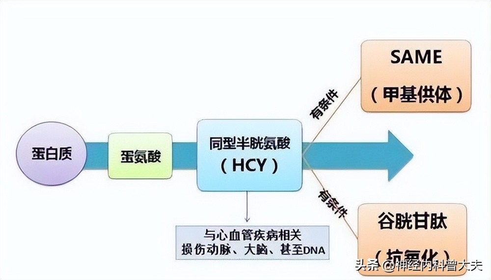 预防脑中风吃什么药有效果,防治脑卒中为什么要降血脂