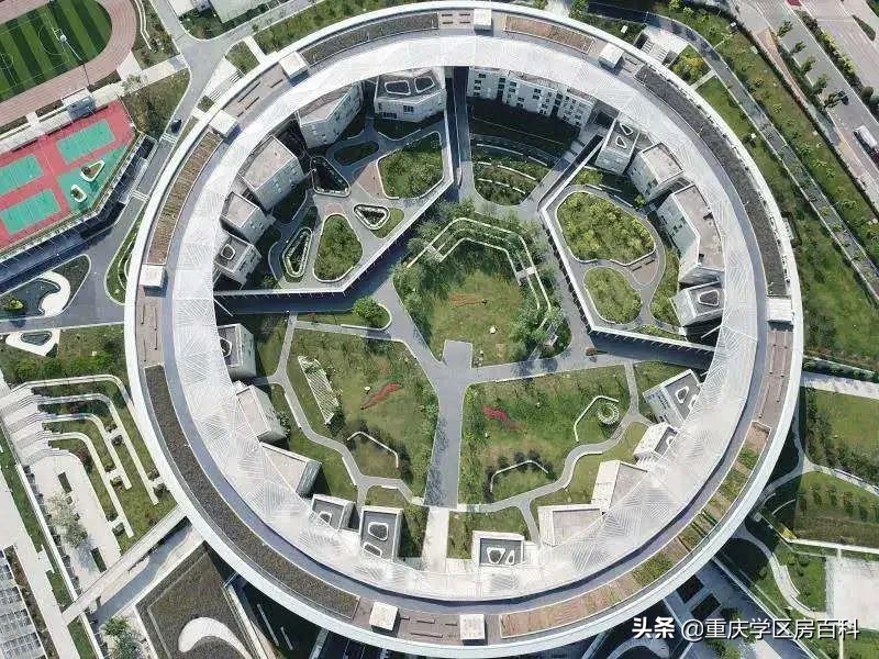 南开中学2020高考各分数段人数,南开中学2019年高考