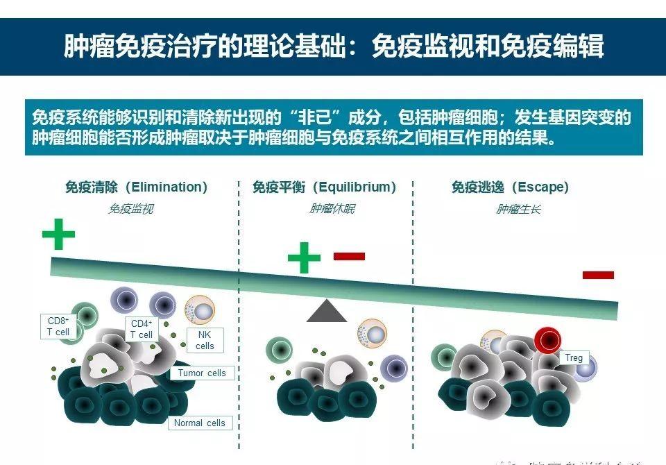 怎么判断狗狗肿瘤是恶性还是良性,狗狗肿瘤手术后吃什么食物比较好