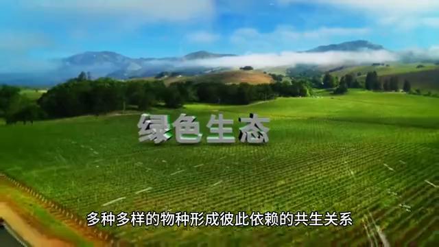 赚钱的门道书籍,赚钱的门道小说