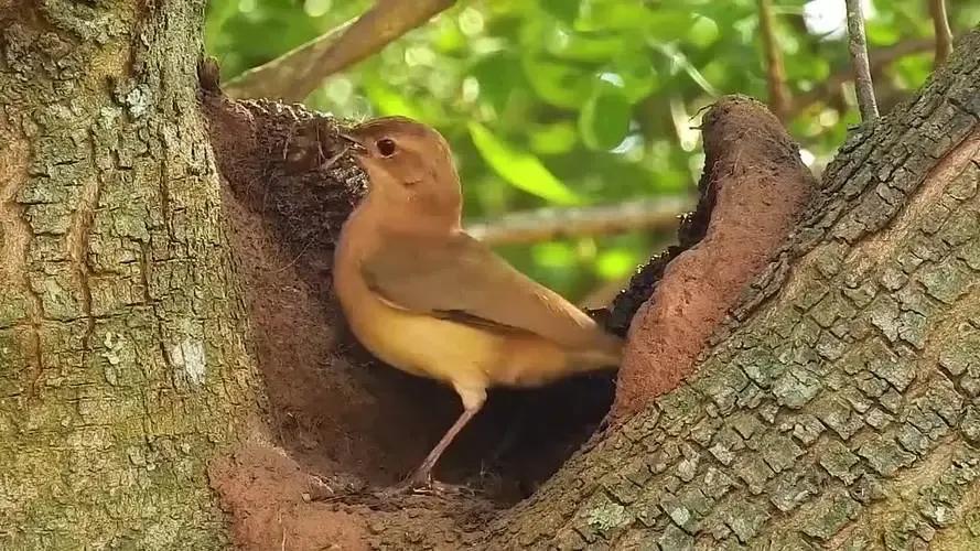 哭泣的阿根廷国家冷知识,你不知道的国家冷知识阿根廷