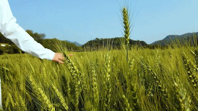 两人从化两天一夜游玩攻略,去从化玩的攻略
