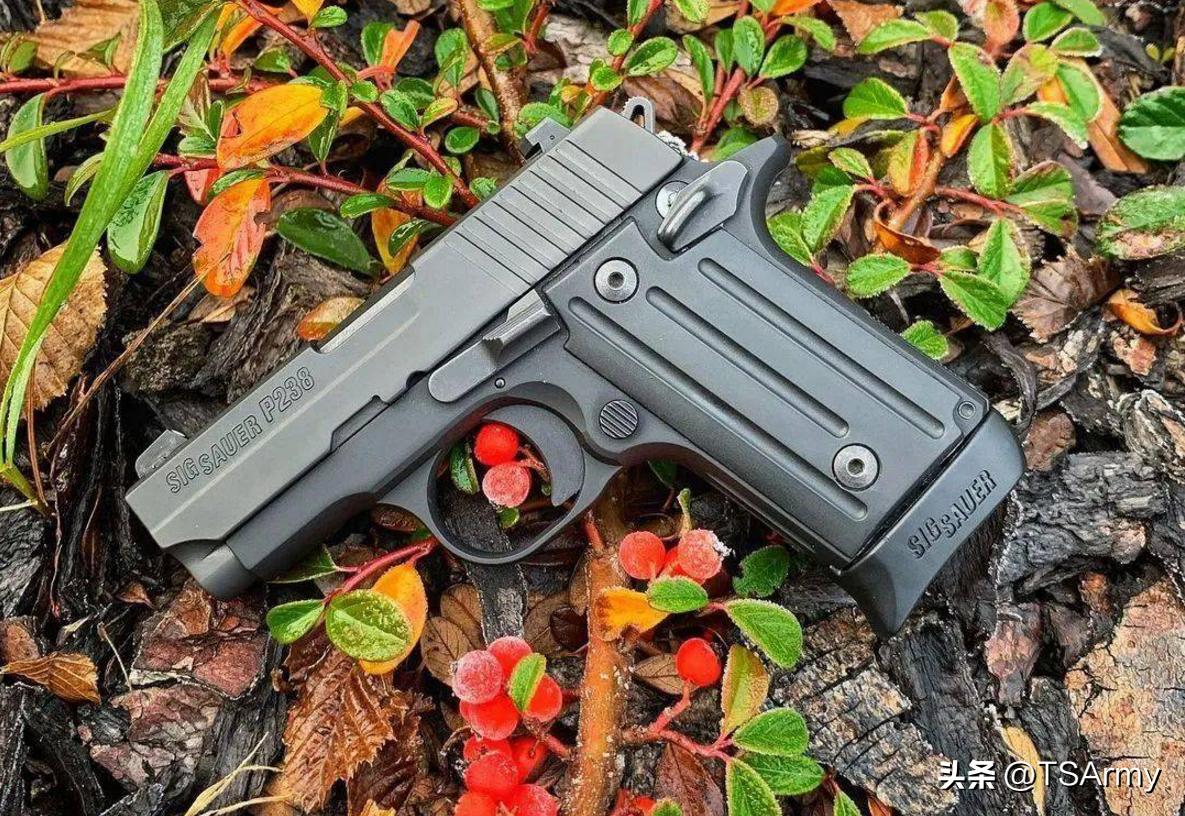 美国最受欢迎的女士手枪,最受欧洲女性欢迎的手枪