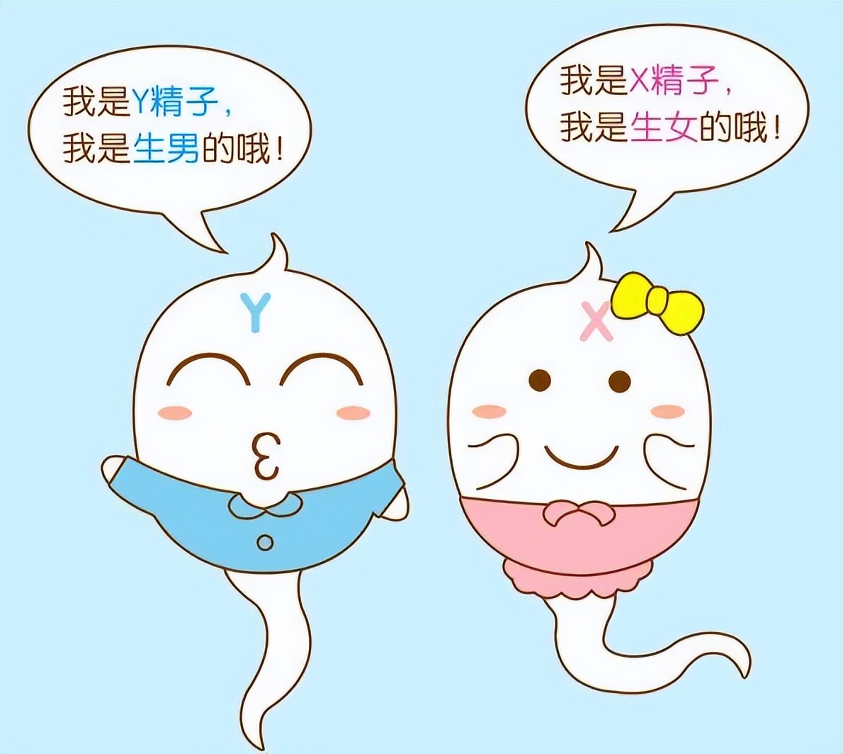 备孕女性如何提高怀孕的几率,科学备孕女生的方法