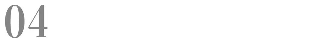 山东路斯宠物食品股份有限公司,北交所食品股