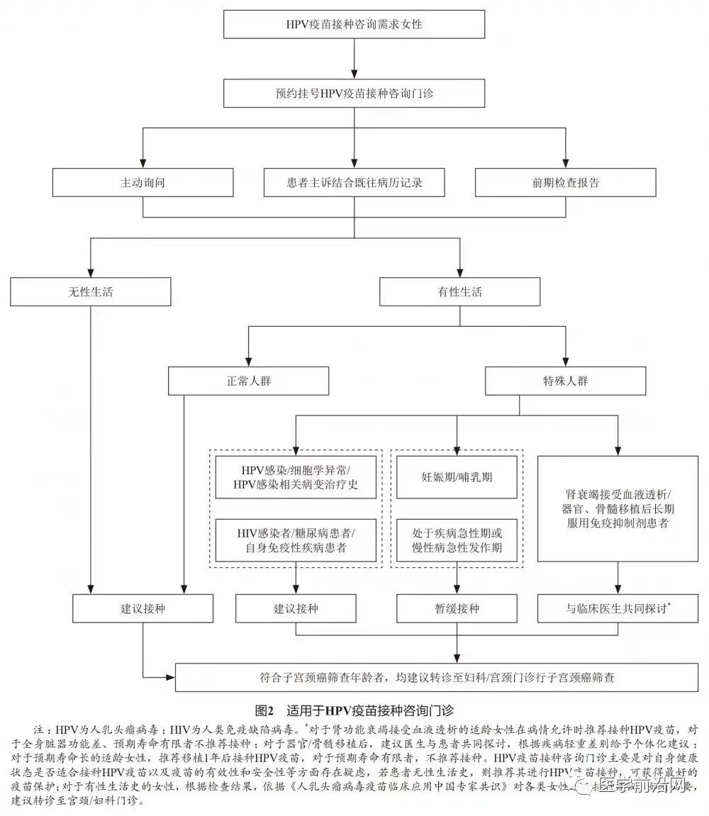 国际HPV知晓日｜隋龙教授4个问答带您读懂HPV及其疫苗的方方面面
