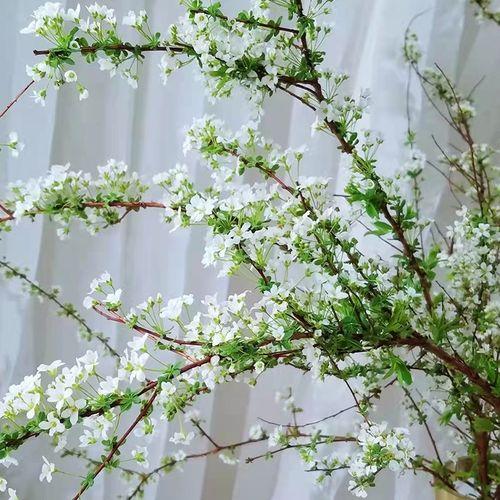 网红干树枝,网红水培干枝树