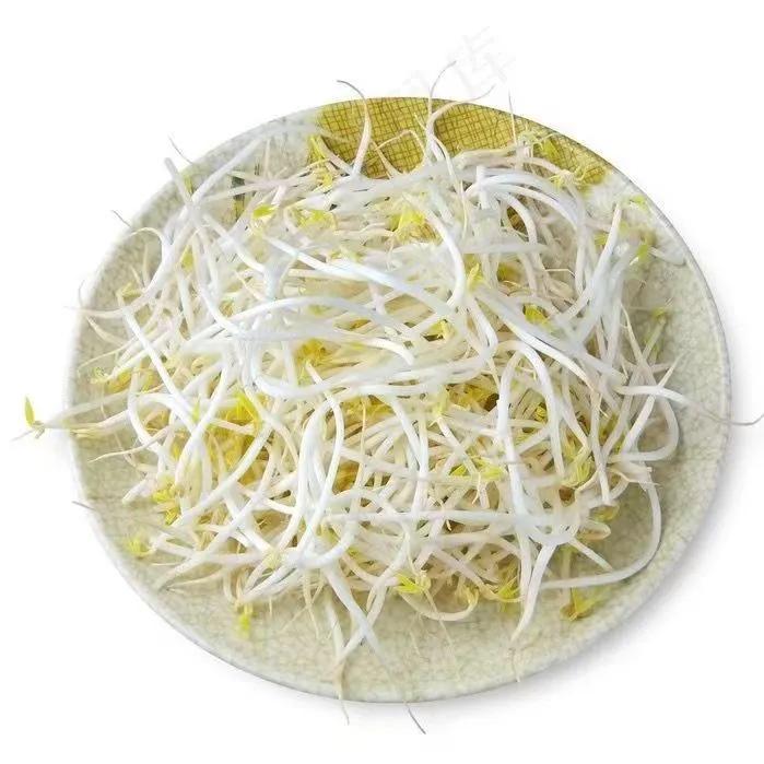 海南湖北籍企业家王攀小豆芽大梦想欲让海口市民吃上正宗“鄂”菜