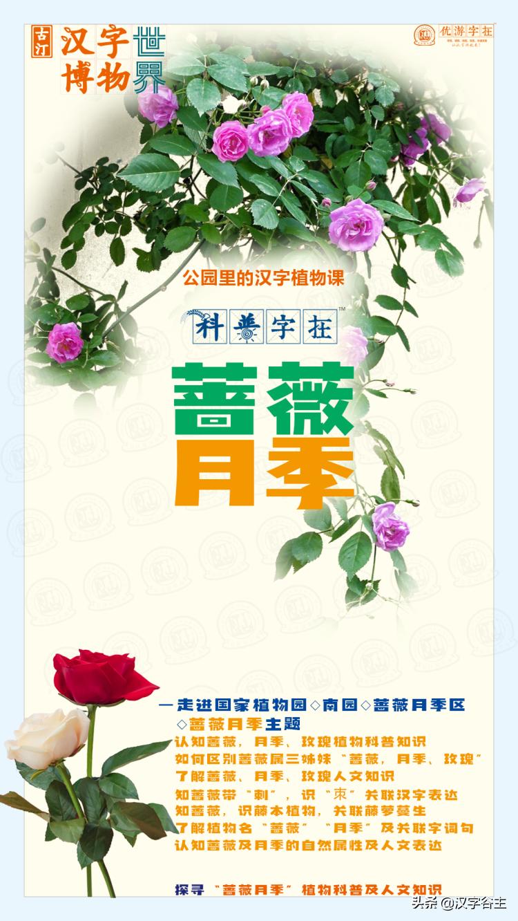 国家植物园游览掠影,走进国家植物园南北月季花海