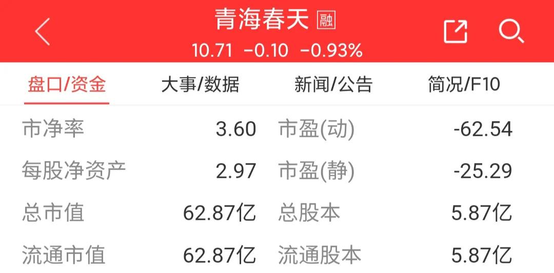 600381青海春天目标价,600381青海春天十大股东