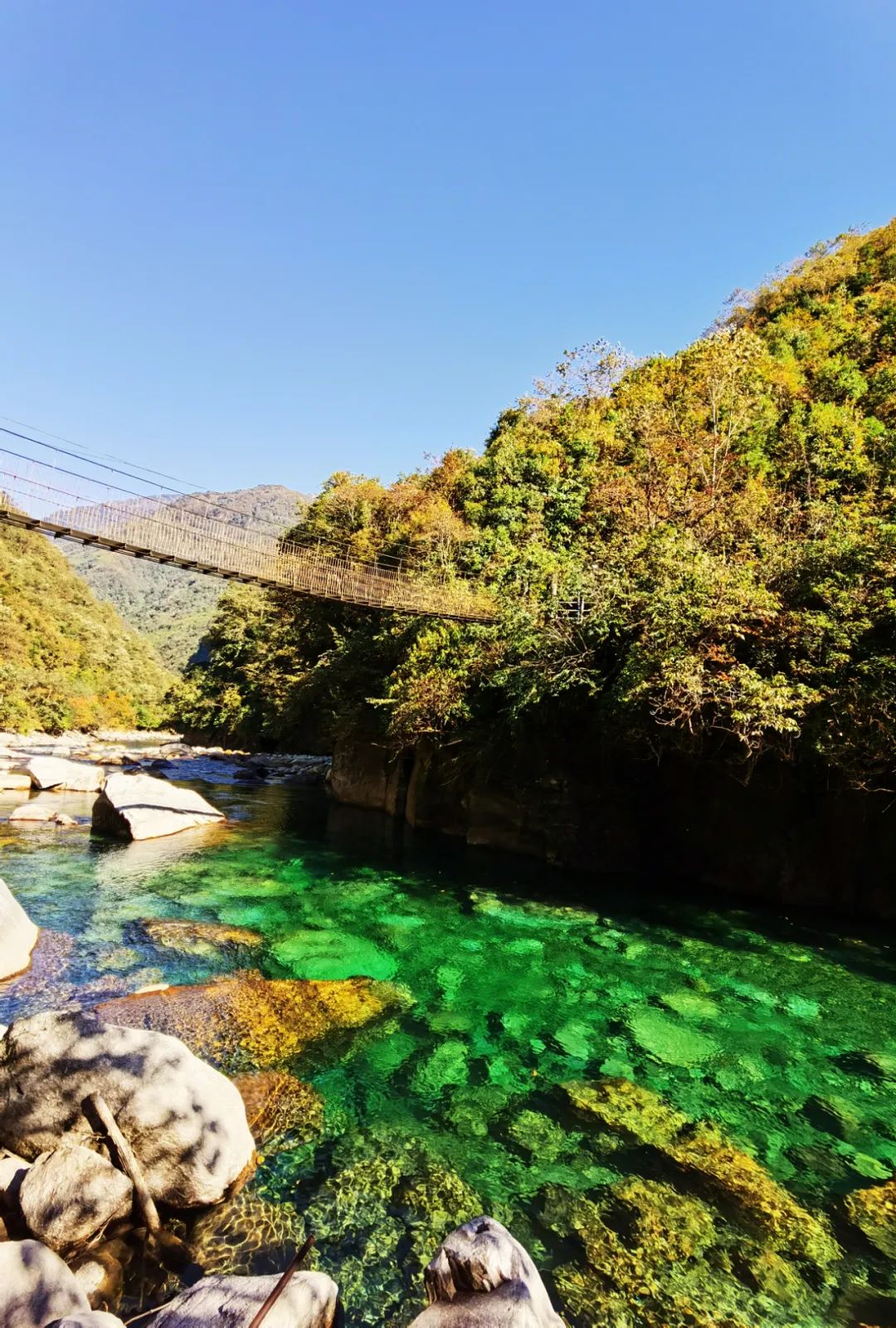 云南西双版纳跨省游最新通知,云南跨省游最新通知