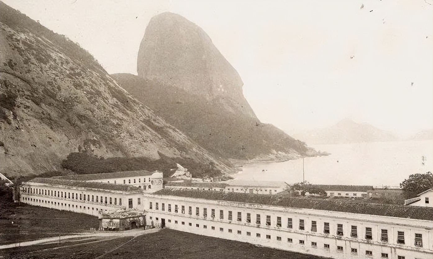 金发晶功效与作用是什么呢,金发晶巴西产的好还是东海好