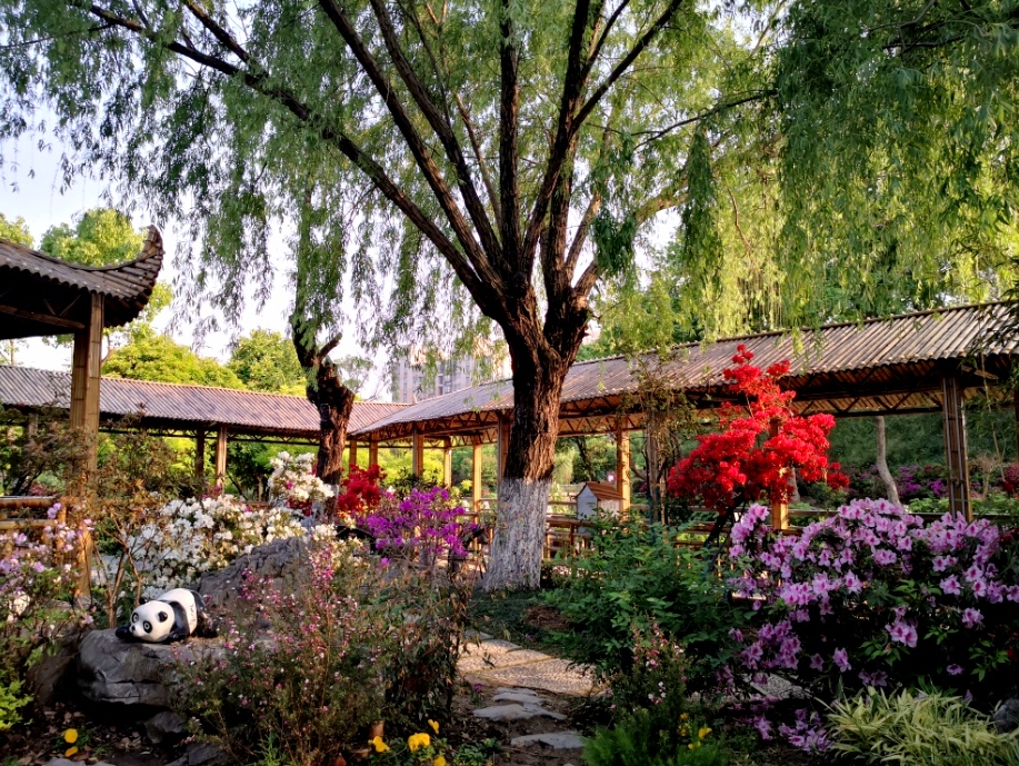 凤凰公园景色美,常州凤凰公园美篇